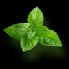 Mint Leaf Decoration
